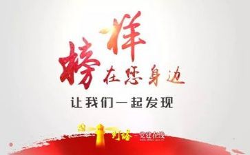 以党为榜样的作文精选5篇