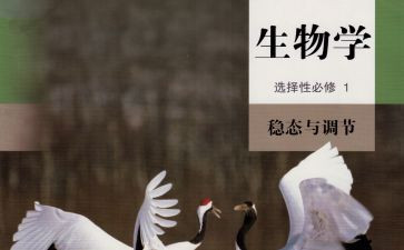 嘉和生物工作总结精选8篇