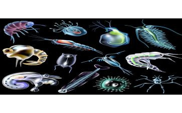 微生物大实验心得5篇