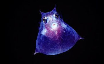 生物老师人工作总结优秀5篇