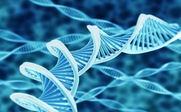 学生物工作总结精选5篇