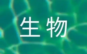 大学生物流公司实习总结6篇