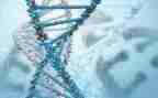 高中生物教案模板5篇