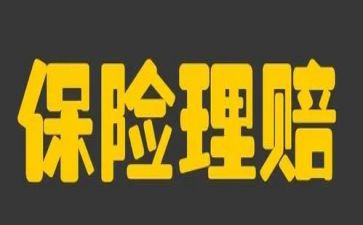 2023保险公司个人总结优质7篇