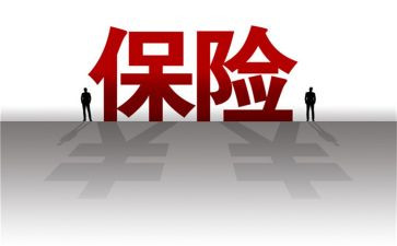 没保险工作总结精选6篇