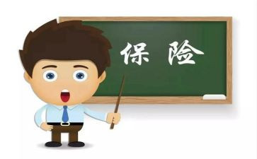 年终总结保险个人总结最新6篇