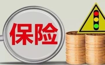 保险年终总结个人总结模板8篇