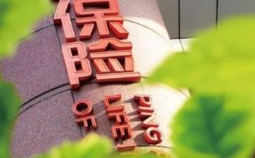 保险销售个人总结报告6篇