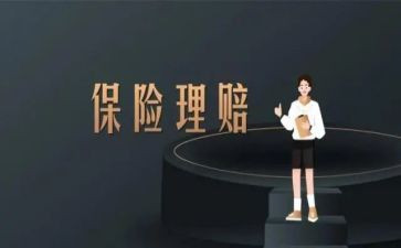 保险公司个人总结范文8篇