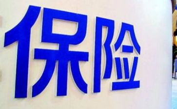 2024年保险年终工作总结模板5篇
