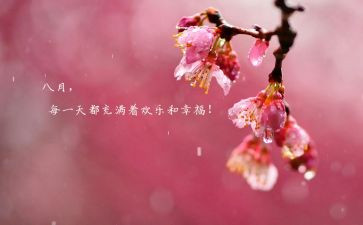 八月份的安全工作总结6篇