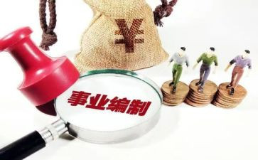 编制个人总结8篇