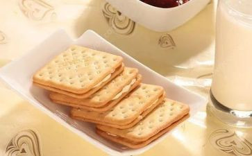 动物喂饼干教案6篇