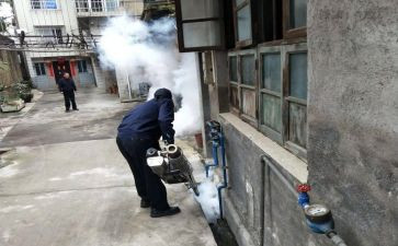 2023病媒防制工作总结6篇