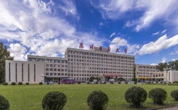 毕业总结和个人总结优秀6篇