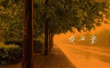 毕业总结表个人总结模板8篇