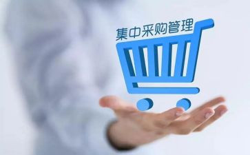 采购年终总结个人总结模板8篇