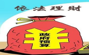 财政个工作总结8篇