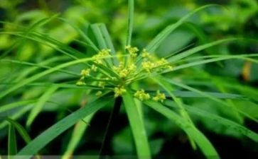 草船借读后感500字精选6篇