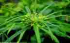 草船借读后感500字精选6篇
