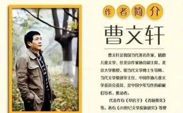 曹文轩《草房子》的读后感8篇