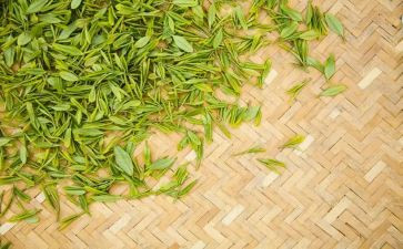 茶工作总结范文通用8篇