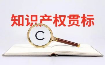 426知识产权日活动总结模板7篇
