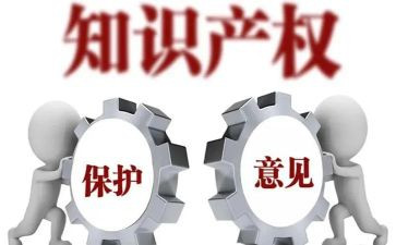 知识产权保护月活动总结8篇