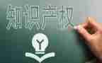 知识产权日宣传活动总结5篇