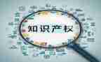 产权所工作总结5篇
