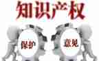 知识产权保护月活动总结8篇