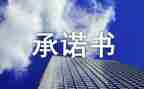 公司个人安全承诺书5篇