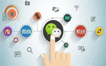 程序员试用个人总结6篇