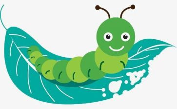昆虫科学大班教案7篇