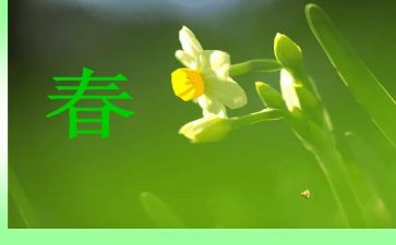 幼儿园中班春游活动方案7篇
