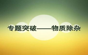 除杂工作总结优秀7篇
