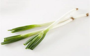 中班科学葱和蒜教案6篇