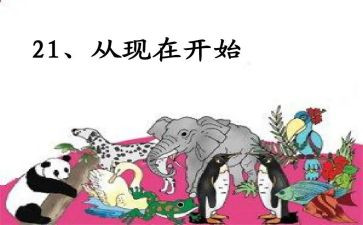 爱从现在开始教案6篇