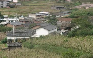 村党支部事迹8篇