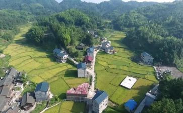 进农村主题活动总结5篇