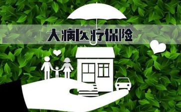 2024年大病低保申请书范文5篇