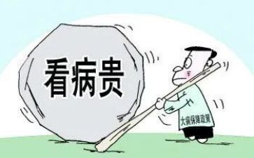 大病低保申请书优质8篇