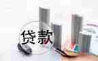 贷后管理岗的个人总结最新8篇
