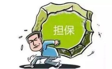 担保工作总结模板6篇