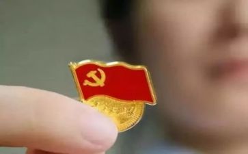党工工作总结范文参考6篇