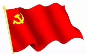 双评党员个人总结5篇