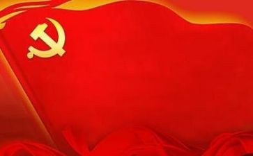 党员个人总结模板6篇