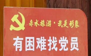 总结党员的工作总结通用8篇