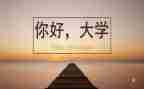 大学校生活部的工作总结5篇