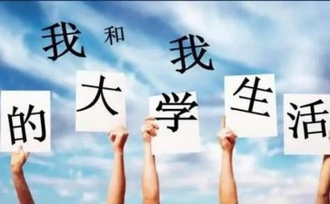 大一学生会总结个人总结5篇